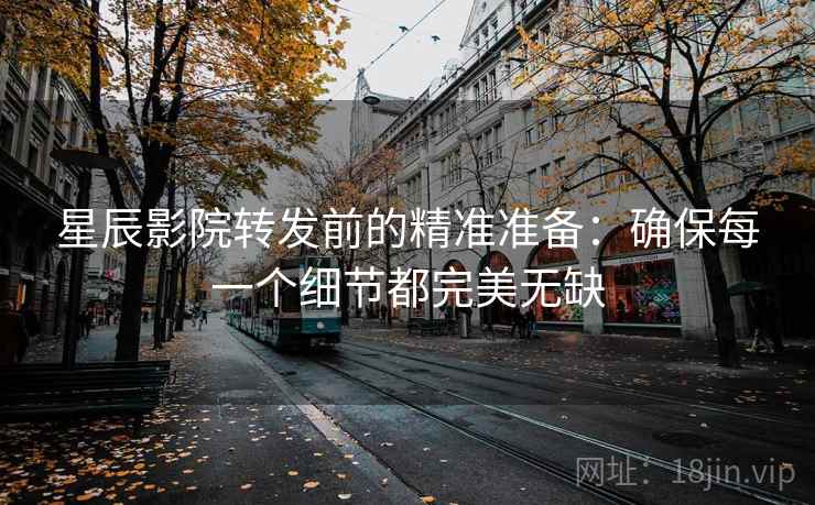 星辰影院转发前的精准准备：确保每一个细节都完美无缺